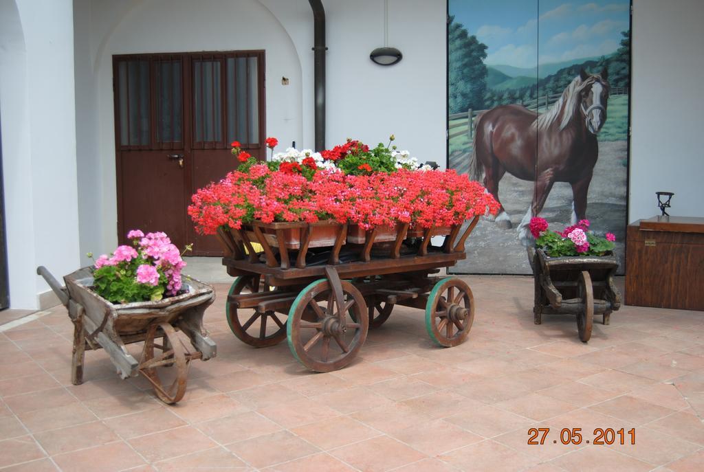 La Pioppa Agriturismo Sacile Eksteriør bilde