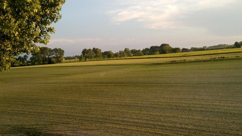 La Pioppa Agriturismo Sacile Eksteriør bilde