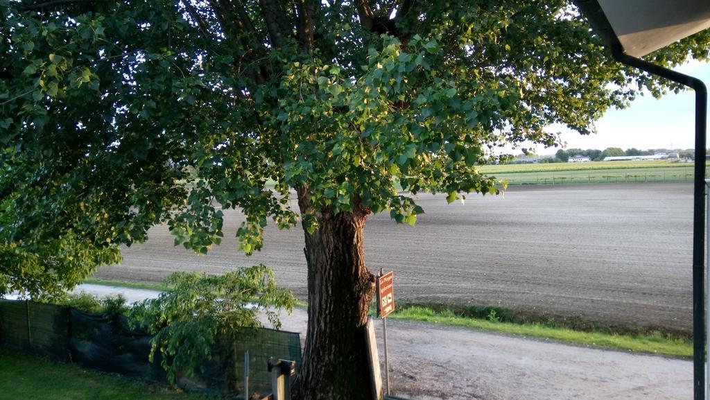 La Pioppa Agriturismo Sacile Eksteriør bilde